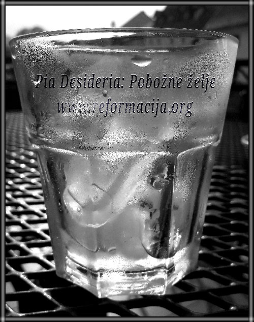 Pia desideria: Pobožne želje