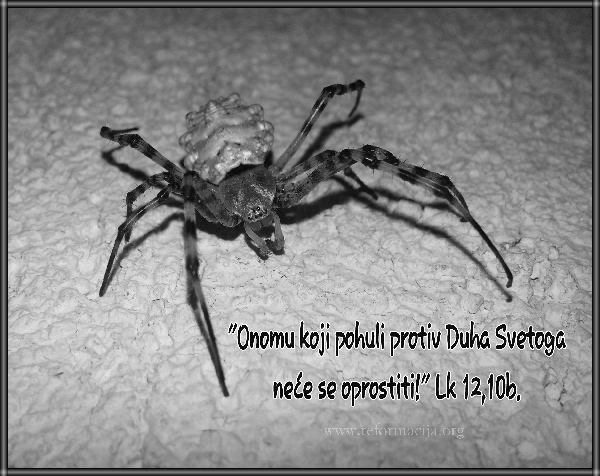 Hula na Duha Svetoga